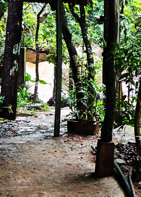 Shaded forest clearing beside the rocks at the retreat